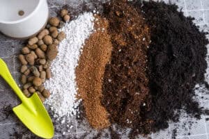 Improving Soil Quality