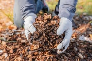 Organic waste for composting on soil