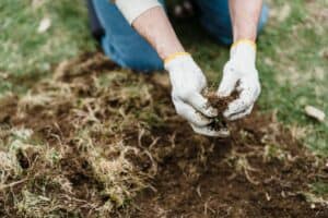 Primary Soil Health Indicators to Observe