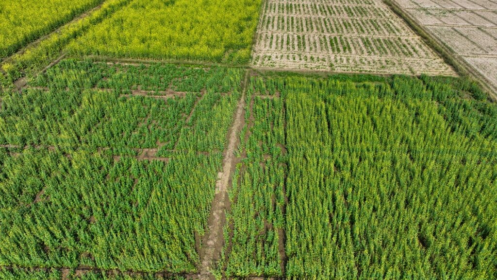 Soil Health Is Improving Over Time