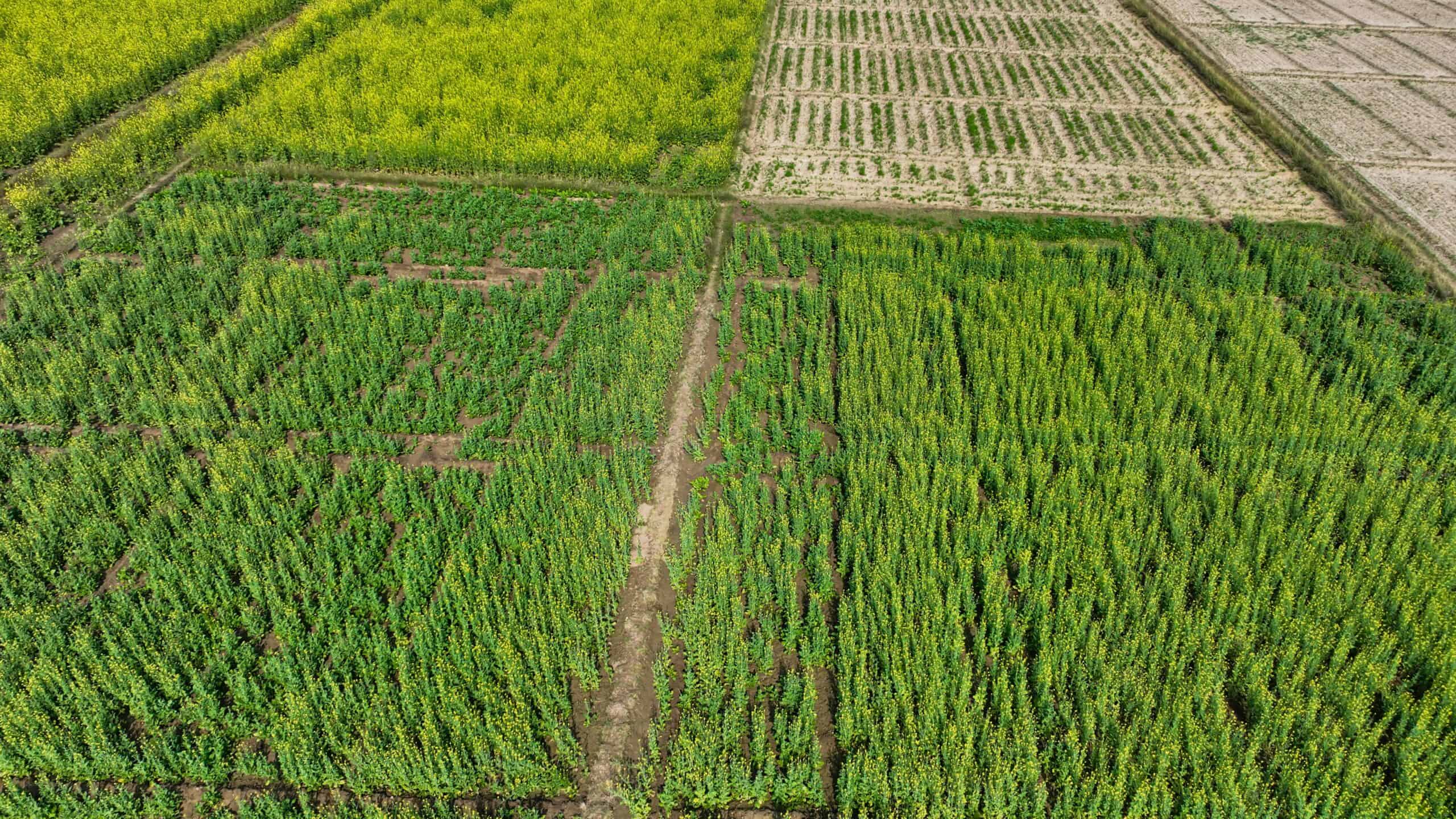 Soil Health Is Improving Over Time