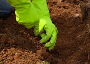 Soil Testing and Analytical Evaluation
