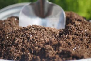 Soil for Long-Term Success