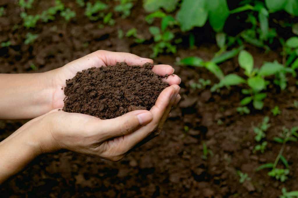 prioritizing the health of soils